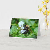 Bijen, kaart (Gele Bloem)