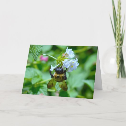 Bijen, kaart (Voorkant)