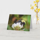 Bijen, kaart (Gele Bloem)