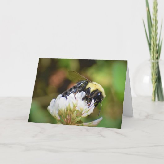 Bijen, kaart (Voorkant)