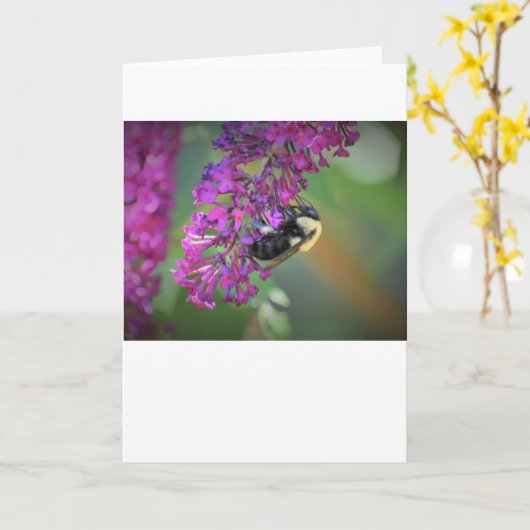 Bijen, kaart (Gele Bloem)