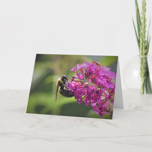 Bijen, kaart (Voorkant)