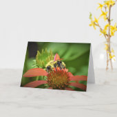 Bijen, kaart (Gele Bloem)