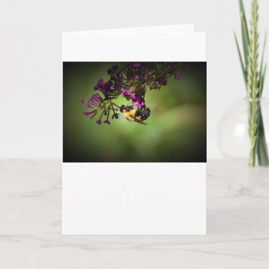 Bijen, kaart (Voorkant)