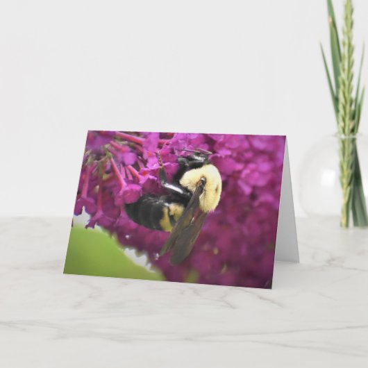 Bijen, kaart (Voorkant)