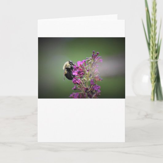 Bijen, kaart (Voorkant)