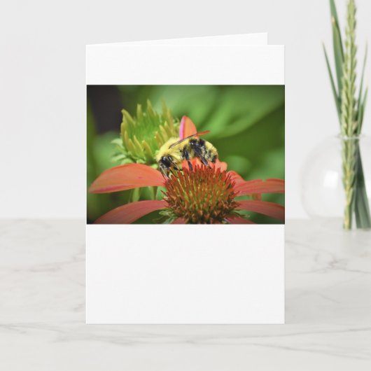 Bijen, kaart (Voorkant)