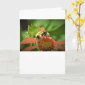 Bijen, kaart (Gele Bloem)