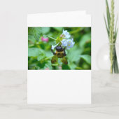 Bijen, kaart (Voorkant)