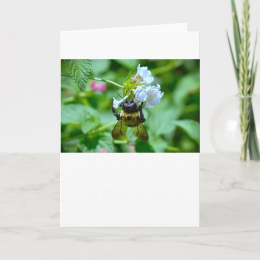 Bijen, kaart (Voorkant)