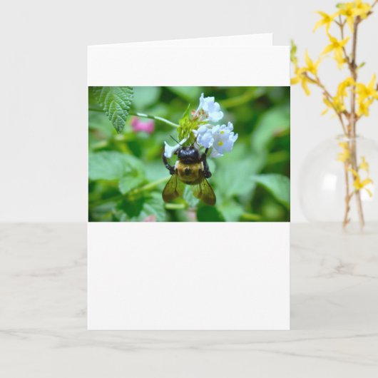 Bijen, kaart (Gele Bloem)