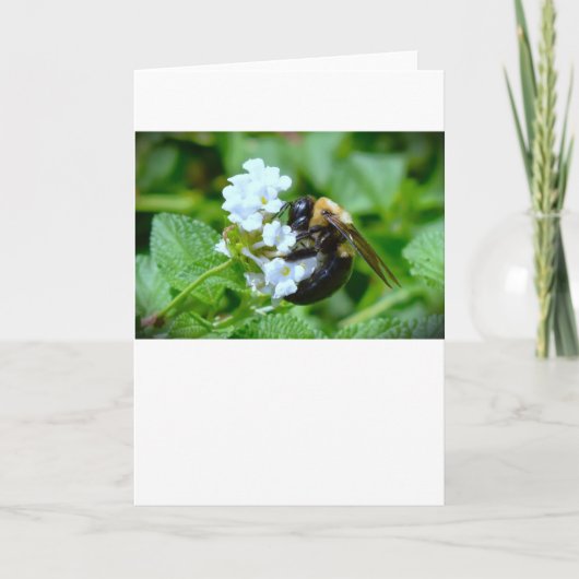 Bijen, kaart (Voorkant)