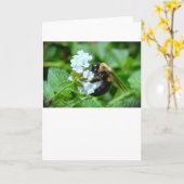 Bijen, kaart (Gele Bloem)