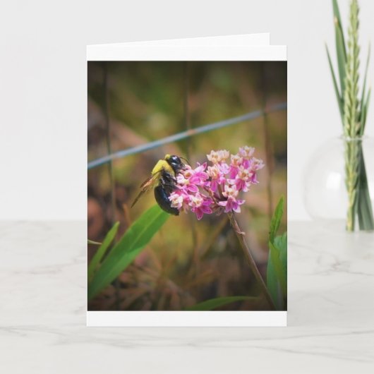 Bijen, kaart (Voorkant)