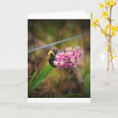 Bijen, kaart (Gele Bloem)