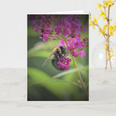 Bijen, kaart (Gele Bloem)