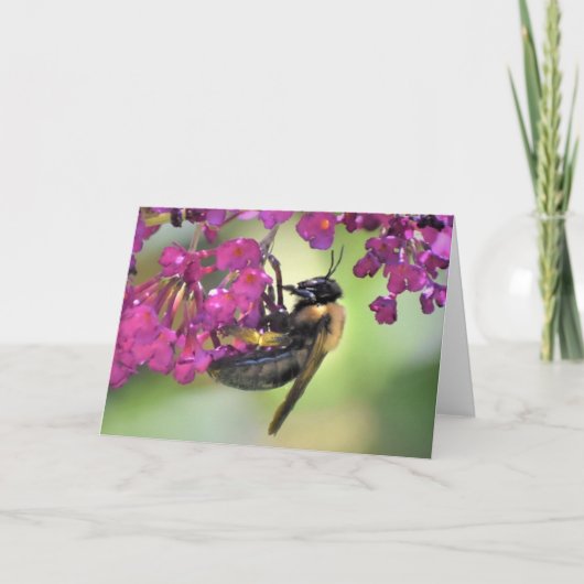 Bijen, kaart (Voorkant)