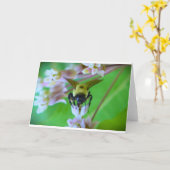 Bijen, kaart (Gele Bloem)