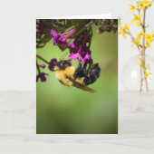 Bijen, kaart (Gele Bloem)