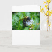 Bijen, kaart (Gele Bloem)