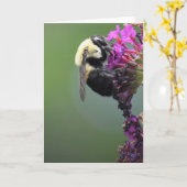 Bijen, kaart (Gele Bloem)