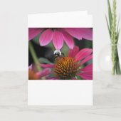 Bijen, kaart (Voorkant)