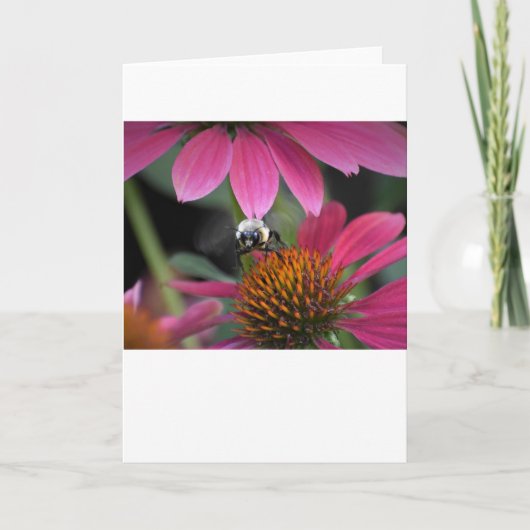 Bijen, kaart (Voorkant)