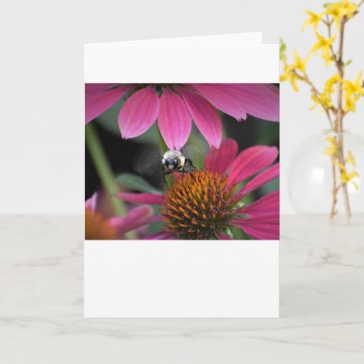 Bijen, kaart (Gele Bloem)