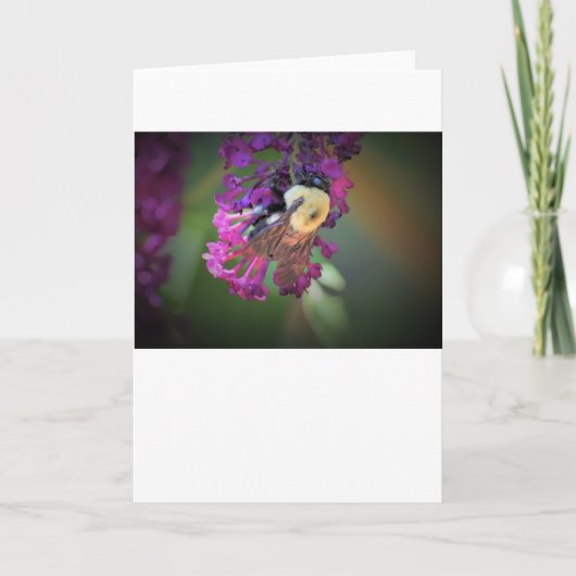 Bijen, kaart (Voorkant)