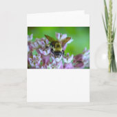 Bijen, kaart (Voorkant)