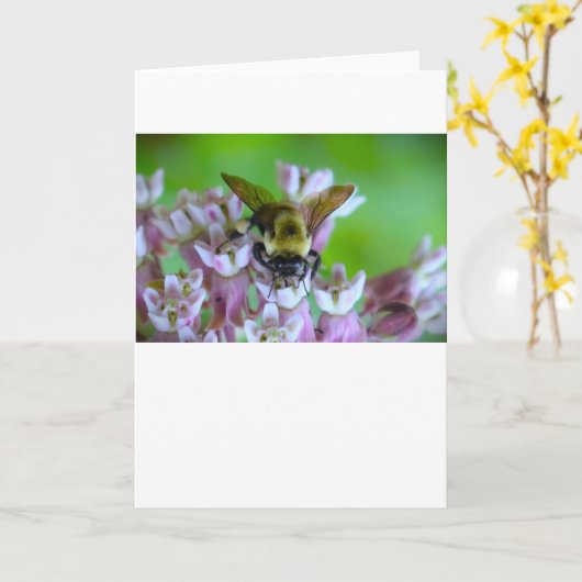 Bijen, kaart (Gele Bloem)