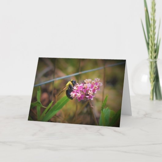 Bijen, kaart (Voorkant)