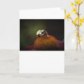 Bijen, kaart (Gele Bloem)