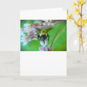 Bijen, kaart (Gele Bloem)