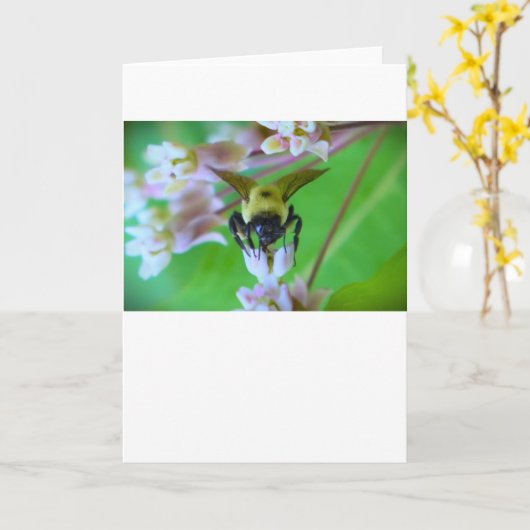 Bijen, kaart (Gele Bloem)