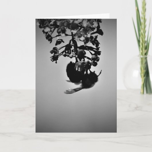 Bijen, kaart (Voorkant)