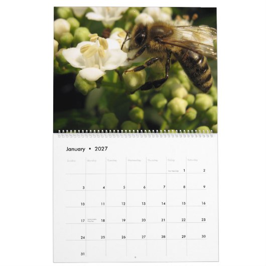 Bijen Kalender (Jan 2027)