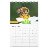 Bijen Kalender (Feb 2027)