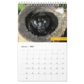 Bijen Kalender (Jan 2027)