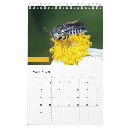 Bijen Kalender (Mar 2026)