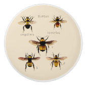  bijen keramische knop (Voorkant)