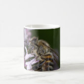 Bijen Koffiemok (Center)