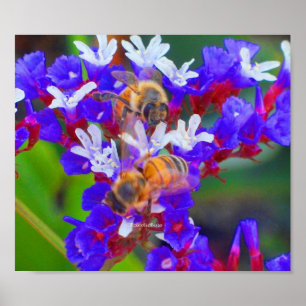 Bijen, liefde en bannelingen poster