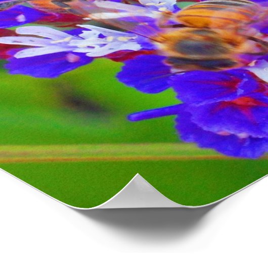 Bijen, liefde en bannelingen poster (Hoek)