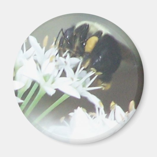 Bijen Magneet (Voorkant)