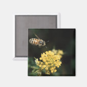 bijen magneet (Voorkant / Achterkant)