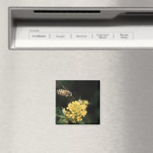 bijen magneet (Insitu (Vaatwasser))