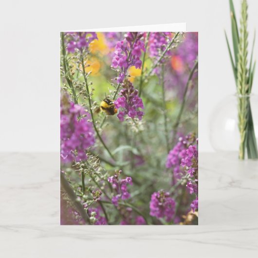Bijen met Wildflower Foto Kaart (Voorkant)