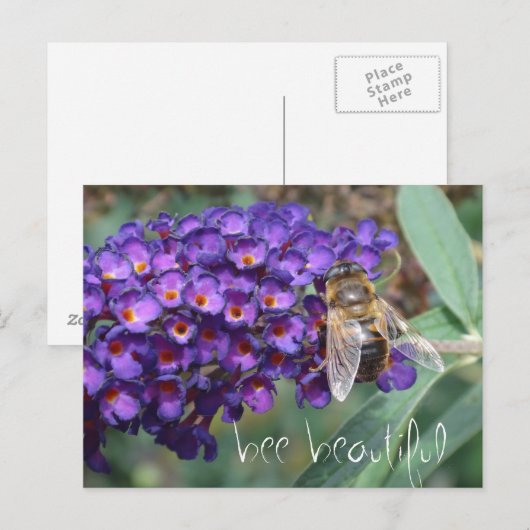 bijen mooi briefkaart (Voorkant / Achterkant)