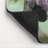 Bijen Muismat (Hoek)